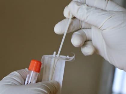Десятки заболевших и две возможные смерти. В Ульяновской области свирепствует свиной грипп