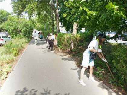 В Ульяновске 25 августа пройдет городской субботник