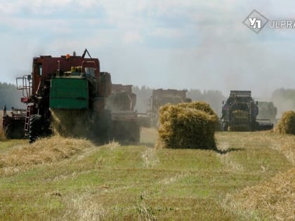 Глава региона встретился с руководителем местного Управления Россельхонадзора