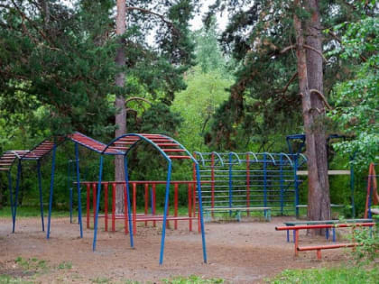 В Ульяновской области на развитие спорта потратят 1,7 млрд рублей