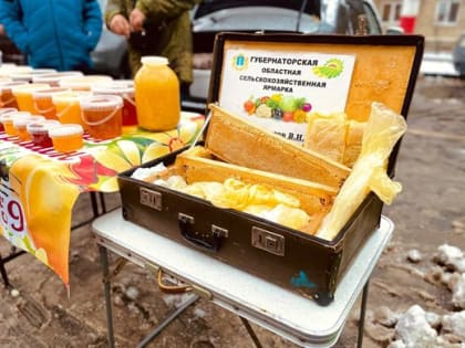Ярмарку на проспекте Гая посетили почти семь тысяч ульяновцев