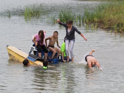 Не купайся с утками! Какую опасность принесли птицы в Ульяновск