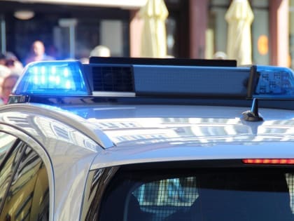 Ульяновец пытался задушить соседа