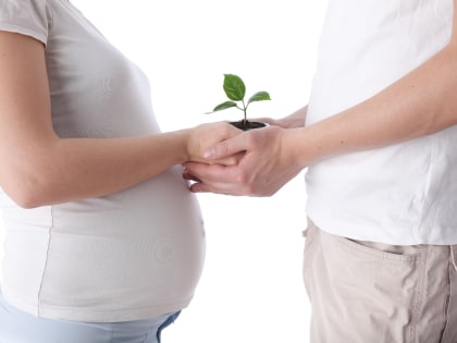 Репродуктивное здоровье в России: новая программа обследования в 2024 году