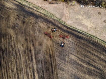 Посевная кампания в Ульяновской области близится к завершению