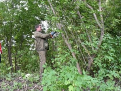 Убрались и нашли бутылку советского времени. Сквер на Мостовой готовят к благоустройству