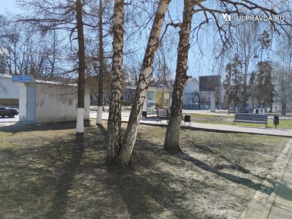 В воскресенье в Ульяновской области будет грозовая погода