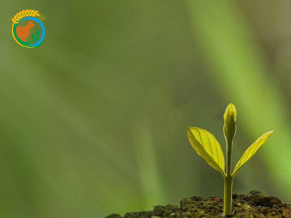 Уважаемые аграрии Ульяновской области!