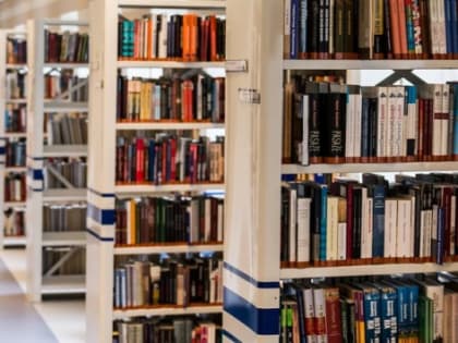 В Ульяновской области откроют 3 модельные библиотеки за 15 млн рублей