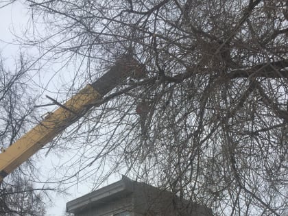 Засвияжский район продолжают очищать от самовольно установленных киосков