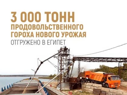 В Египет из Ульяновской области отправили 3000 тонн свежего гороха