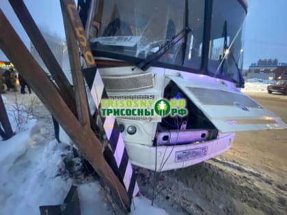 В Димитровграде пассажирский автобус врезался в линию электропередачи