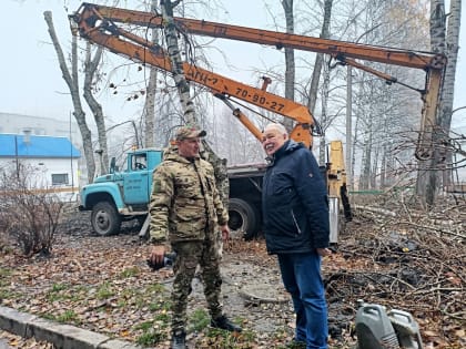 По проблемным точкам на округах с начала года выполнены работы по сносу и обрезке 1250 аварийных деревьев