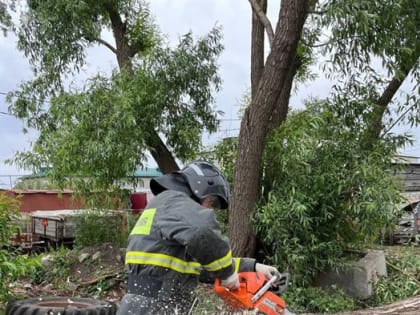 Ульяновские спасатели срубили шесть опасных деревьев и освободили два авто