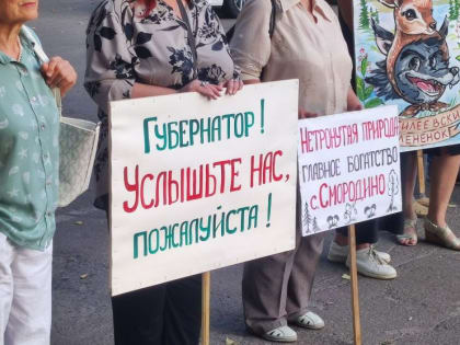 Конфликт с лесом в Смородино: проблемы взаимодействия власти и граждан