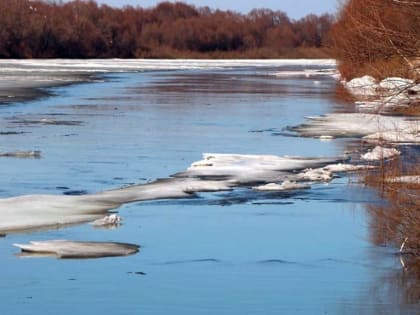 Путин подписал закон о списании процентов по кредитам участникам СВО