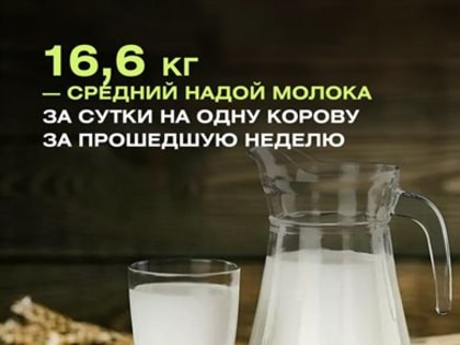 В Ульяновской области средний надой молока вырос на 5,7%