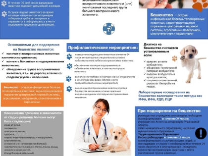 Ветеринары подозревают бешенство в Засвияжском и Ленинском районах