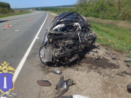 Ульяновцы ехали из командировки на работу в Йошкар-Олу и разбились на трассе