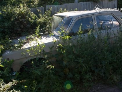 Автодилеры ожидают сокращения авторынка на 8–10%