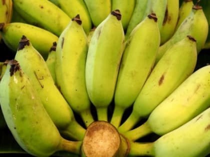 В Ульяновской области резко подорожали фрукты