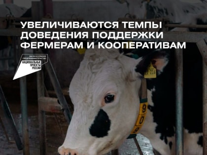 Увеличиваются темпы доведения поддержки фермерам и кооперативам