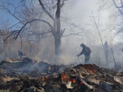 Ульяновские спасатели помогли МЧС потушить гаражи