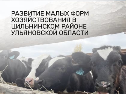 Развитие малых форм хозяйствования в Цильнинском районе Ульяновской области