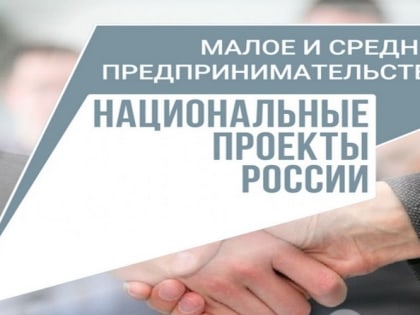 Более 200 млн рублей получили в мае предприниматели Ульяновской области на реализацию проектов развития
