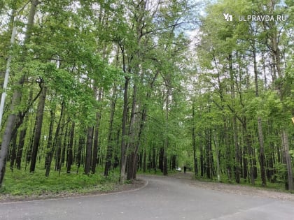 В воскресенье в Ульяновской области ожидается небольшой дождь и грозы