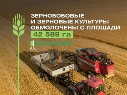 В Ульяновской области активно собирают горох и пшеницу