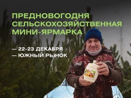 Ульяновцев зовут на предновогоднюю мини-ярмарку