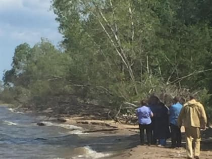 В Волге погибла рыба, эксперты расследуют причины