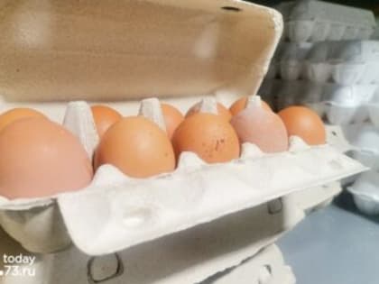 Отпускные цены на яйца пошли на спад