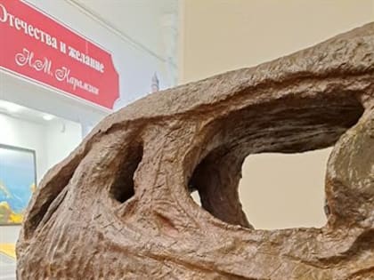 Древняя жизнь. 500 миллионов лет ульяновцам показали в одной выставке