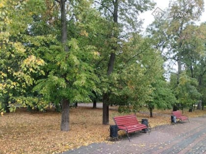 Под влиянием холодного фронта, но без осадков. Погода в Ульяновской области сегодня