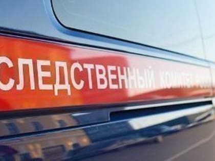 Житель Ишеевки пытался зарезать мать