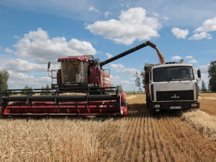 В ульяновской экономике переломили динамику падения