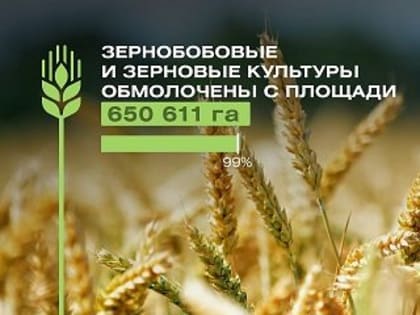 Зерновые и зернобобовые культуры в Ульяновской области обмолочены на 99 процентов от плана