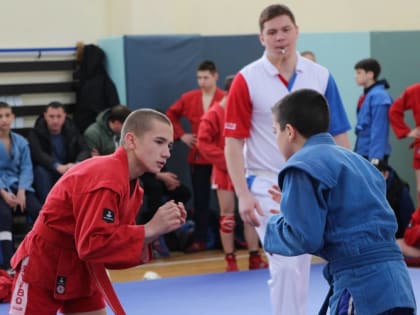 «Единая Россия» создаст условия для занятий самбо в школах