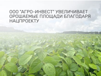 Национальный проект «Международная кооперация и экспорт» в действии