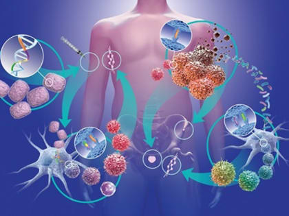 Врач-дерматовенеролог Городской больницы №3 Елена Юдина рассказала о важности сохранения иммунитета