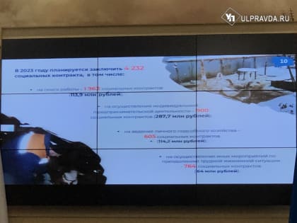 В Ульяновске выросло число женских бизнесов, а фермеров учили не есть цыплят