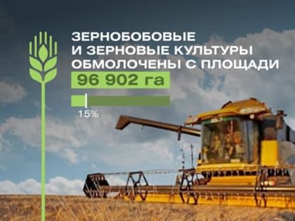 Рожь собирают, сено заготавливают. Как работают аграрии региона