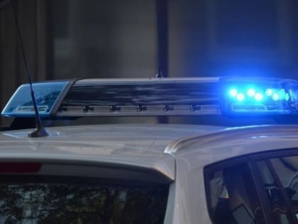 Житель Димитровграда украл телевизор и горный велосипед