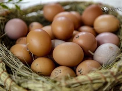 Компьютеры и яйца – на взлет, у заграницы и авиаперелетов – падения. Как в Ульяновской области изменились цены