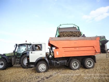 Аграрии региона продолжают уборку картофеля и овощей