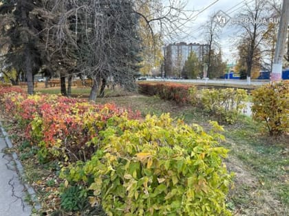 В Ульяновской области подморозит и станет опасно скользко