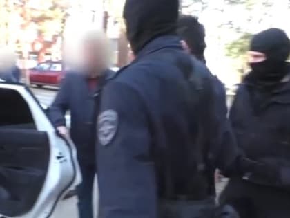 Правоохранители накрыли в Димитровграде экстремистскую организацию