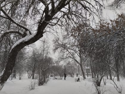 В среду в Ульяновской области обещают переменную облачность